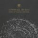DOWNFALL OF GAIA releases third single, “Of Withering Violet Leaves”
