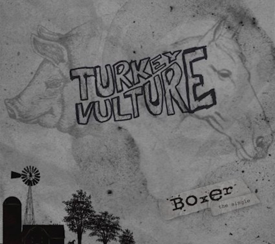 TURKEY VULTURE – their EP “Boxer” released today  June 28, 2019