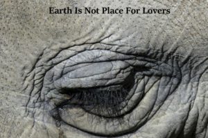 JUNE 1974 – their album “Earth Is Not Place For Lovers” is out now via Visionaire Records
