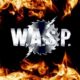 W.A.S.P. – Fan filmed video of the full show from Skogsröjet (Sweden) July 30, 2022 #WASP