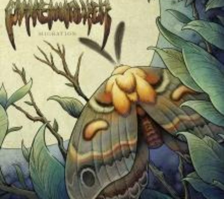 PINEWALKER – “Migration” album to be released on September 6th 2019 #pinewalker