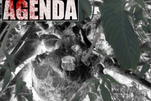 GODLESS AGENDA – “Death Awaits You All” Self-Released album out on November 8, 2019 #godlessagenda