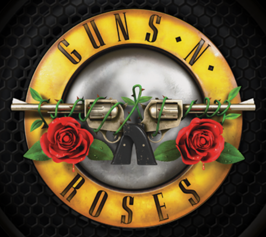 Guns N' Roses - one official clip and fan filmed videos from the Chesa...