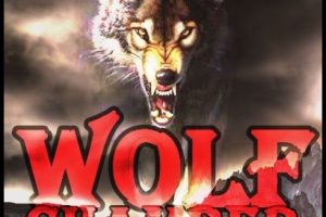 WOLF CHAMBER – unveil new song “FOREST OF DARKNESS”  #wolfchamber band features members of WILDESTARR, STEELWITCH, VICIOUS RUMORS, AND CHASTAIN
