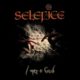 SELEFICE – review of their mini album “I Met a God” via Angels PR Music Promotion #selefice