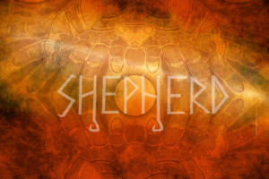 SHEPHERD – New Single “Chariot” is Out Now – Debut EP ‘First Hand’ out November 20, 2020 #shepherd