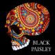 BLACK PAISLEY – NEW album “Rambler” will be released on December 11, 2020, new single/video out now #blackpaisley
