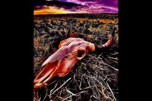 SHOTGUN FACELIFT (Groove Metal/Metalcore – USA) – Will release the album “Dakota Blood Stampede” via Eclipse Records on December 17, 2021 #ShotgunFacelift