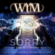 WtM Band (Hard Rock – Italy/Denmark) – The band releases Official Music Video”SORRY” #wtm