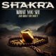 SHAKRA (Hard Rock – Switzerland) – Release New Single “What You See (And What you Don’t)” via AFM Records #Shakra