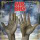 MR. BIG (HARD ROCK – USA 🇺🇸 ) – Release “Up On You” Official Music Video – Taken from the upcoming album “Ten” which is due out on July 12, 2024 via Frontiers Music Srl #mrbig #ten #hardrock