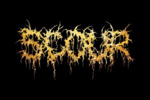 SCOUR (Extreme Metal Featuring Philip H. Anselmo (Pantera, Down) – USA 🇺🇸 ) – Release new single/video “Infusorium” – Taken from the new album “Gold” out on February 21, 2025 via Nuclear Blast Records & Housecore Records #scour #extrememetal #heavymetal