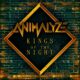 ANIMALYZE (Glam Rock/80’s Hair Metal – Denmark 🇩🇰) – Release “Kings of the Night” official music video – Taken from the upcoming debut-album “Powerhouse”  due out in April 2025 via Steelheart Records #animalyze #hardrock #glamrock #80smetal