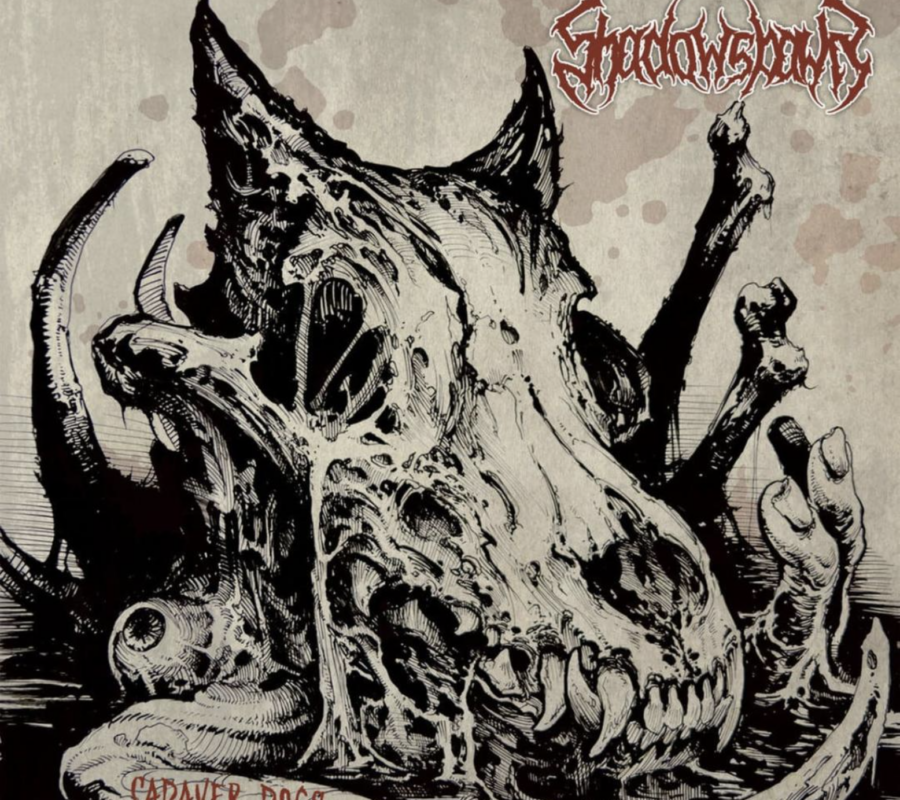 SHADOWSPAWN (Death Metal – Denmark) – Release “He Who Slept In Fire” Official Video – Taken from the upcoming album “Cadaver Dogs” due out on February 20, 2026 via Via Nocturna  #shadowspawn #deathmetal #heavymetal